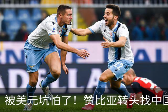被美元坑怕了！赞比亚转头找中国：铜矿换人民币，这买卖划算！
