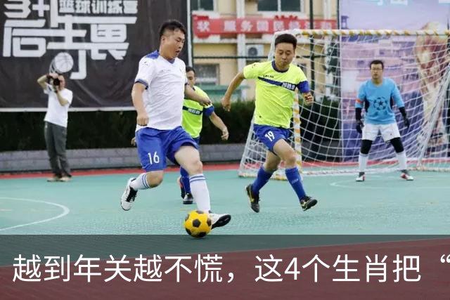 越到年关越不慌，这4个生肖把“赚钱”活成了基本功